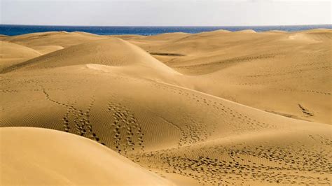 maspalomas nude beach|THE SAND DUNES AND NUDE BEACH OF MASPALOMAS,。